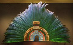 Home Page Image